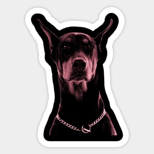 Doberman stare design Sticker